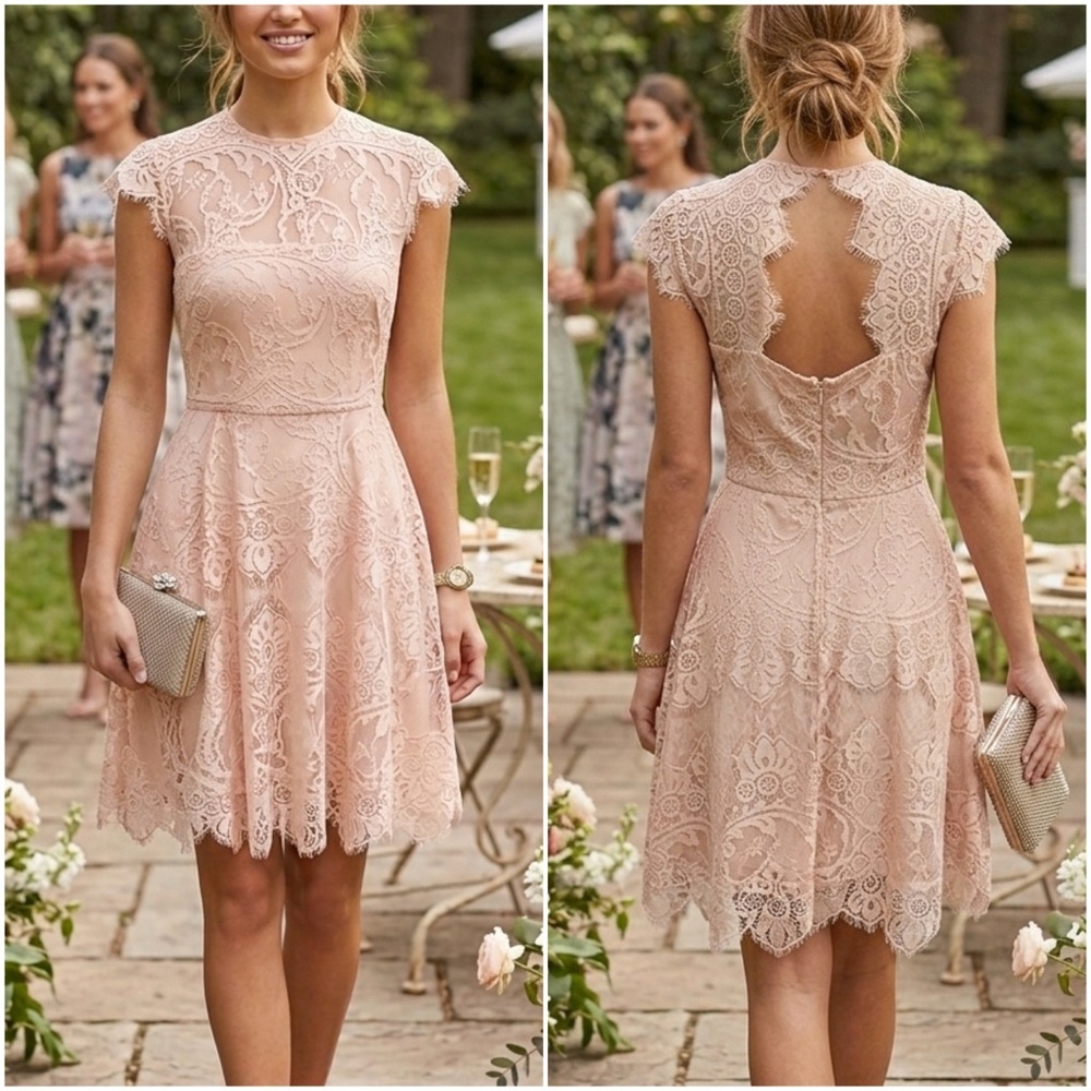 BB Dakota Pink Rose Smoke Lace Illusion Dress